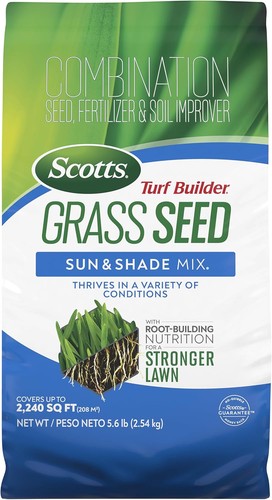 Scotts turf builder grass - scotts,
